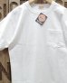 画像1: TOYO ENTERPRISE / Whitesville -"S/S POCKET T-SHIRT"-  (1)