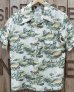 画像2: Pherrow's -Rayon Hawaiian Shirt "24S-AMAZON"-  (2)