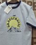 画像1: BARNS -RINGER PRINT S/S T-SHIRT "GRAPEFRUITE"-  (1)