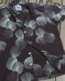 画像4: DUKE KAHANAMOKU "DUKE'S SHELL" SPECIAL EDITION  (4)