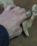 画像3: CUSHMAN 29018 -SKULL & CROSS BONE SILVER RING-  (3)