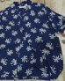 画像4: SUN SURF -NATIONAL "SCATTERED PALMTREE"-  (4)