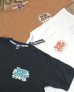 画像1: Pherrow's "25S-PT20"  (1)