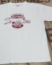 画像2: CUSHMAN 26867 -PRINT TEE (GREYHOUND)-  (2)