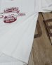 画像4: CUSHMAN 26867 -PRINT TEE (GREYHOUND)-  (4)