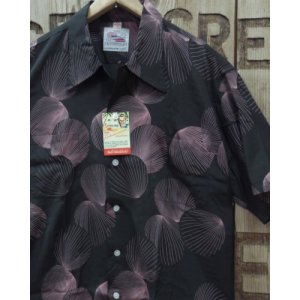 画像: DUKE KAHANAMOKU "DUKE'S SHELL" SPECIAL EDITION 