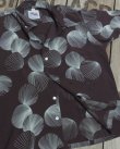 画像4: DUKE KAHANAMOKU "DUKE'S SHELL" SPECIAL EDITION 