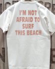 画像4: TOYS McCOY -CASPER TEE "IT'S SAFE TO SURF"- 