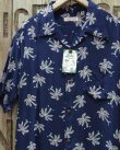 画像1: SUN SURF -NATIONAL "SCATTERED PALMTREE"- 